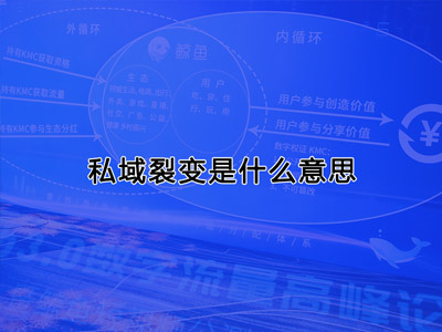 私域裂變是什么意思